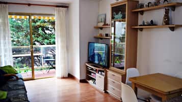 TV