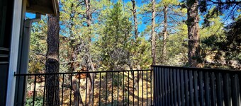 Comfy Loft Retreat Above the Pines
