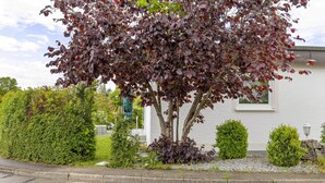 A tree with purple leaves in front of a building. - Holiday Apartment 'Leicht' with Wi-Fi (Münsingen)