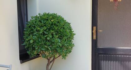 Ferienwohnung "Rittergut" mit privater Terrasse und WLAN