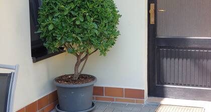 Ferienwohnung "Rittergut" mit privater Terrasse und WLAN