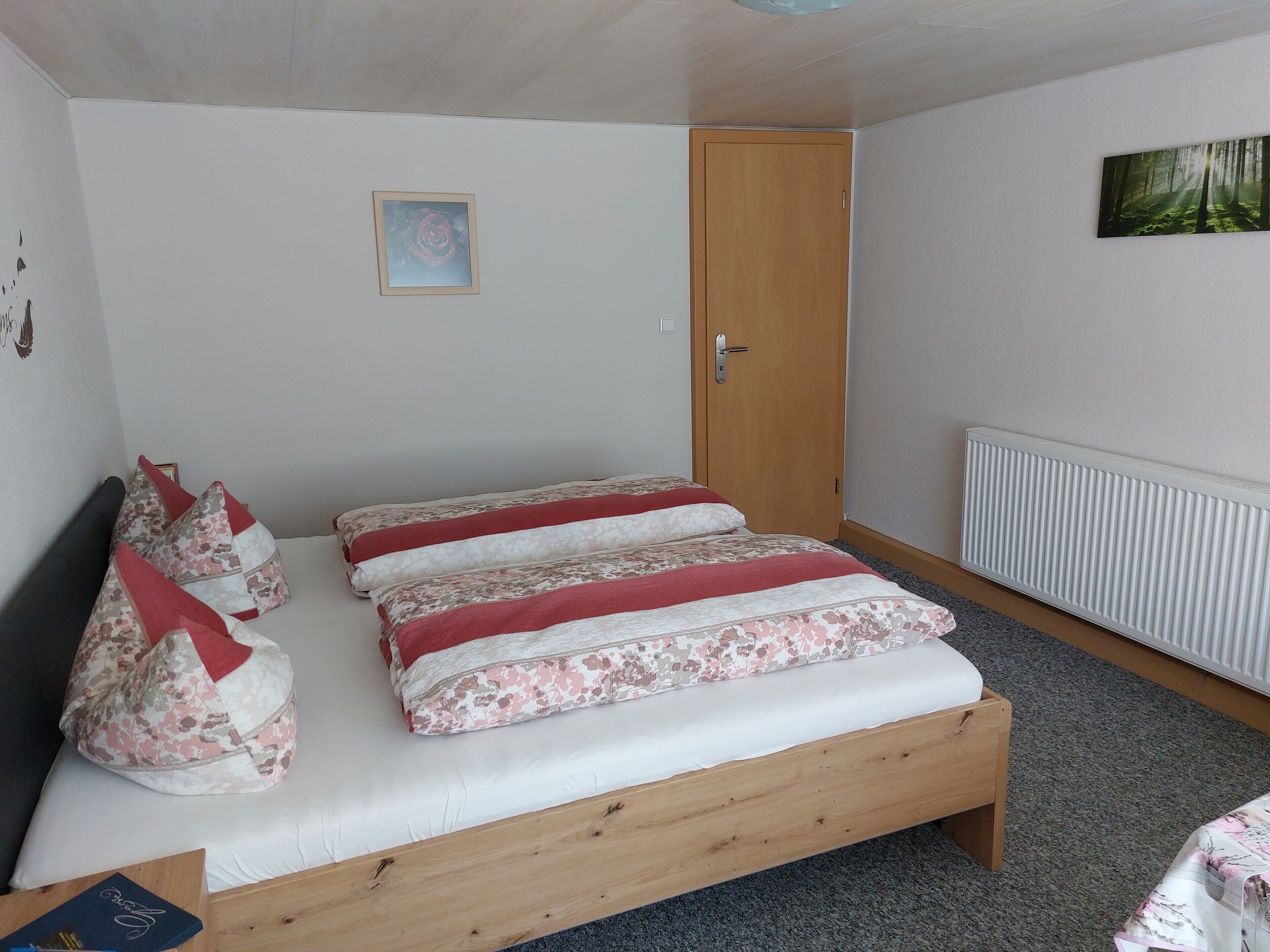 A bedroom with a bed, a door, a radiator, and a framed picture on the wall.