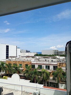 Urban high-rise buildings with modern architecture and palm trees in the foreground.