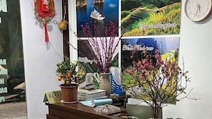 Een receptiebalie met een klok, posters en een potplant.