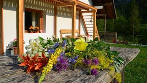 Une terrasse en bois avec une chaise en bois, un escalier en bois et un arrangement floral.
