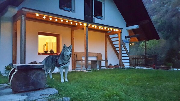 A house with a porch, a dog, and a stone structure.