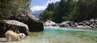 Soča Home With The View