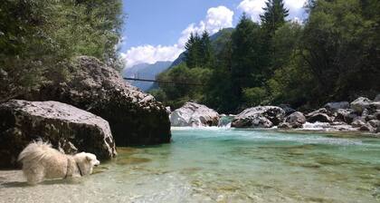 Soča Home With The View