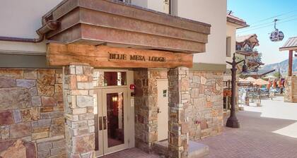Updated Ski In/Ski Out Condo in the Heart of Mountain Village w/ Private Ski Locker!