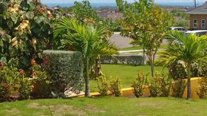 Un barrio residencial con un césped bien cuidado, diversos arbustos y algunas palmeras.