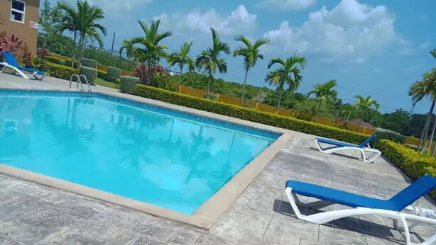 Una piscina con sillones de descanso, rodeada de palmeras y un cielo despejado.