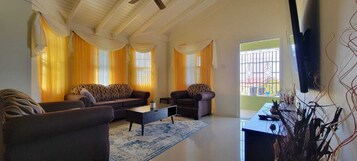 Smart TV, Netflix, streaming services