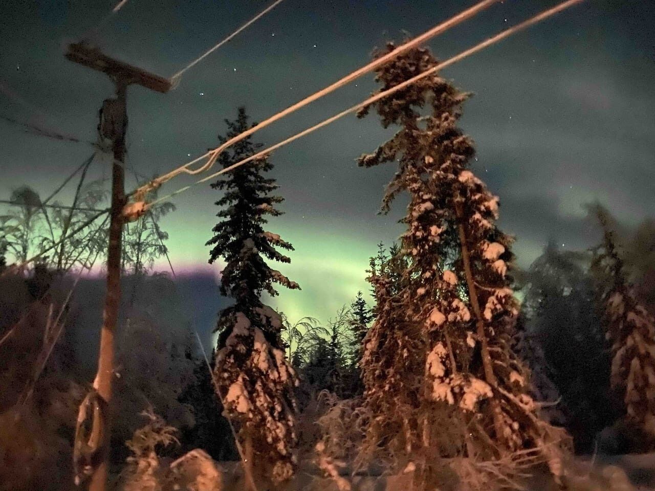 Un bosque con árboles cubiertos de nieve y líneas eléctricas bajo un cielo nocturno con la aurora boreal.