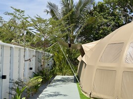 A tented accommodation area with a pathway leading to a white building, surrounded by lush greenery.