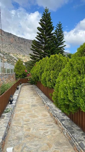 Stroll through the beautifully maintained garden, surrounded by lush greenery and a serene mountain backdrop.