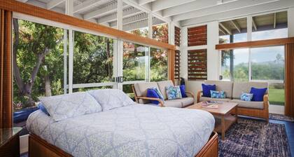 White Sand Beach - Puako Beach House - Beach 69