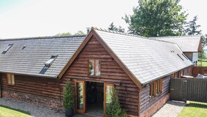 A wooden cabin with a sloped roof, a front door, and two potted plants. - Awelfan (Newtown)