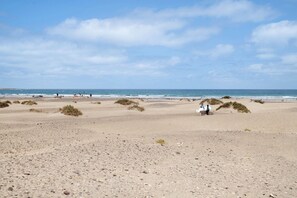 A beach with scattered bushes, a clear sky, and the ocean in the background.