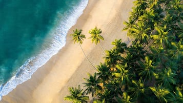 Free beach shuttle, free beach cabanas, sun-loungers, fishing