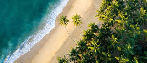 Free beach shuttle, free beach cabanas, sun-loungers, fishing