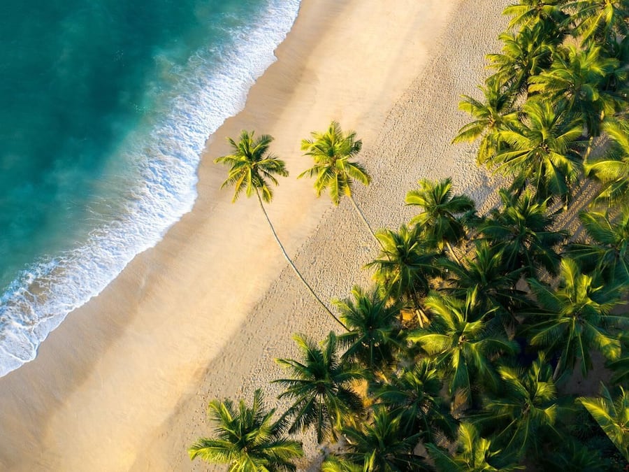 Free beach shuttle, free beach cabanas, sun loungers, fishing