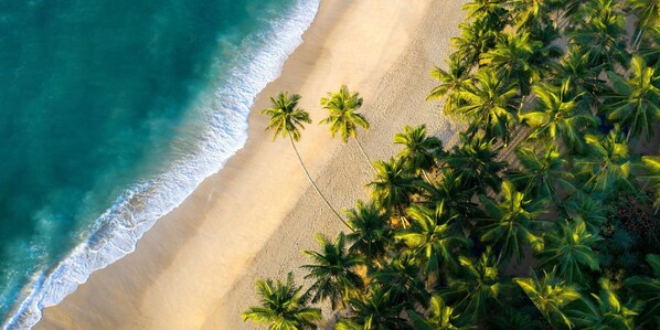 Free beach shuttle, free beach cabanas, sun loungers, fishing