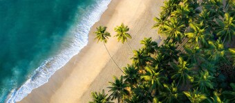 マヤ・タンガル