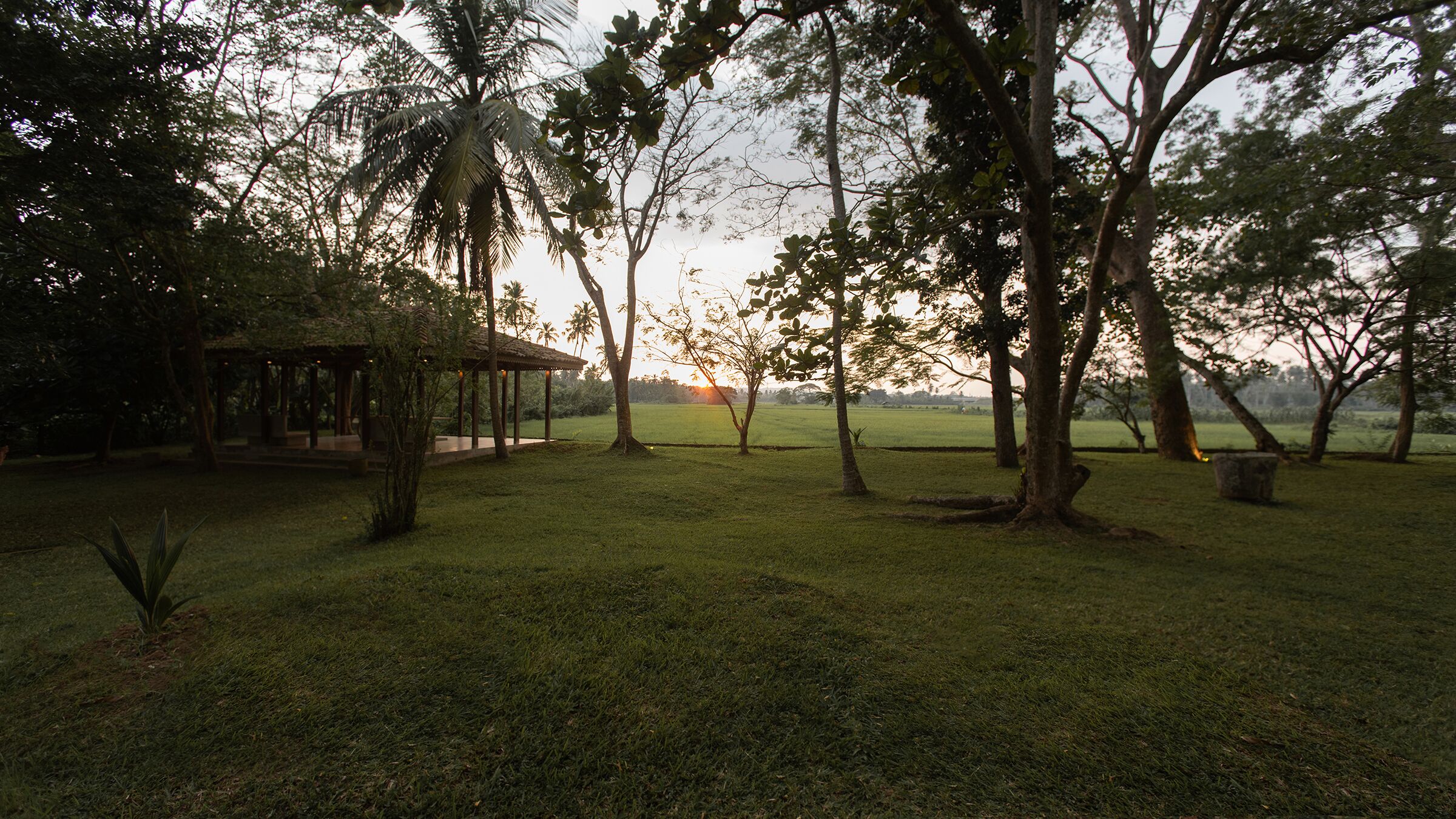 A gazebo in a grassy area with trees and a sunset in the background.
