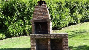 Forno esterno in mattoni con canna fumaria, circondato da erba e siepi.
