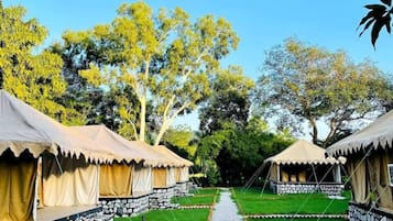 Luxury Tent | Free WiFi