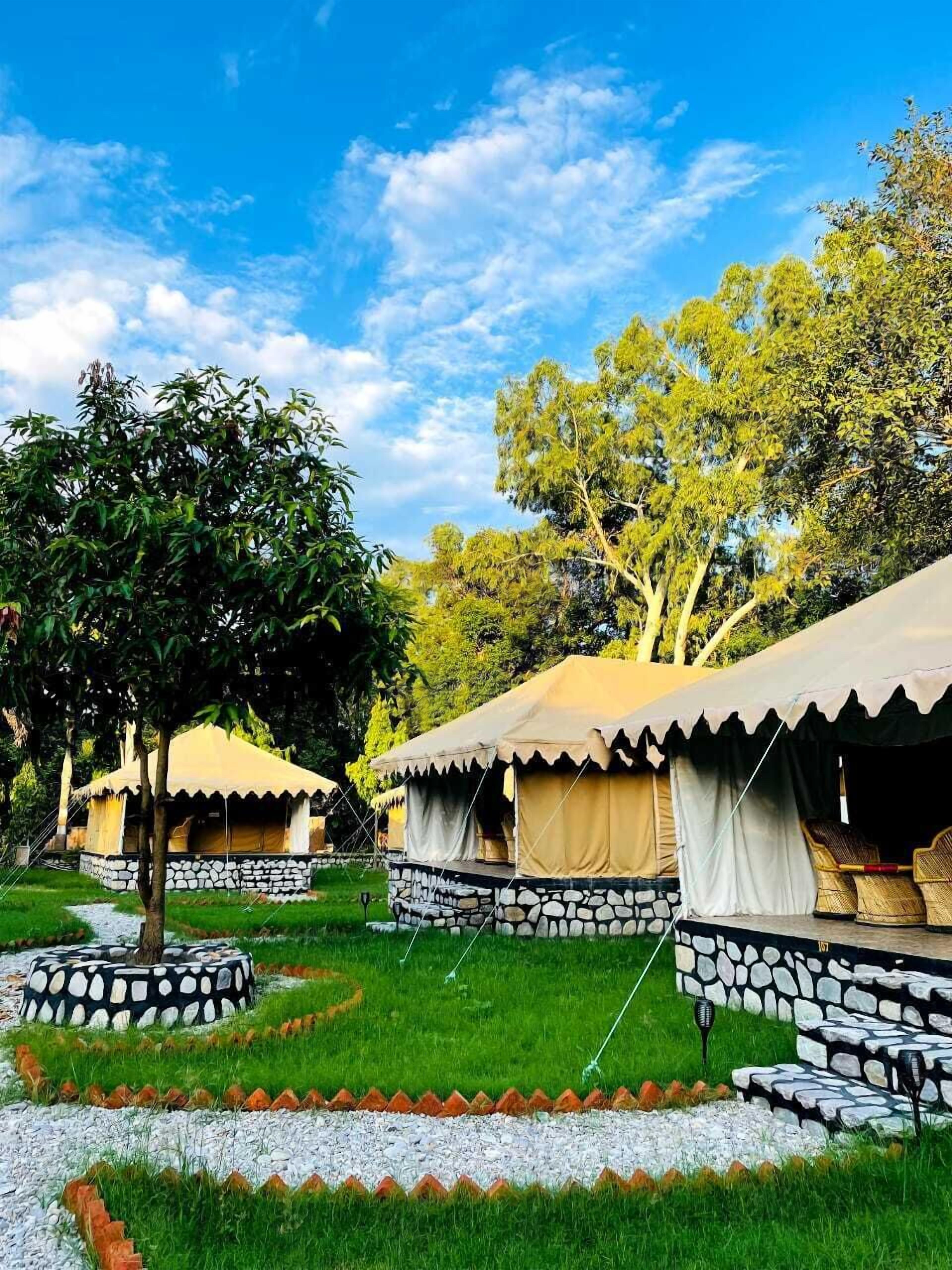 Luxury Tent | Free WiFi