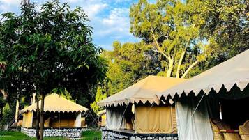 Luxury Tent | Free WiFi
