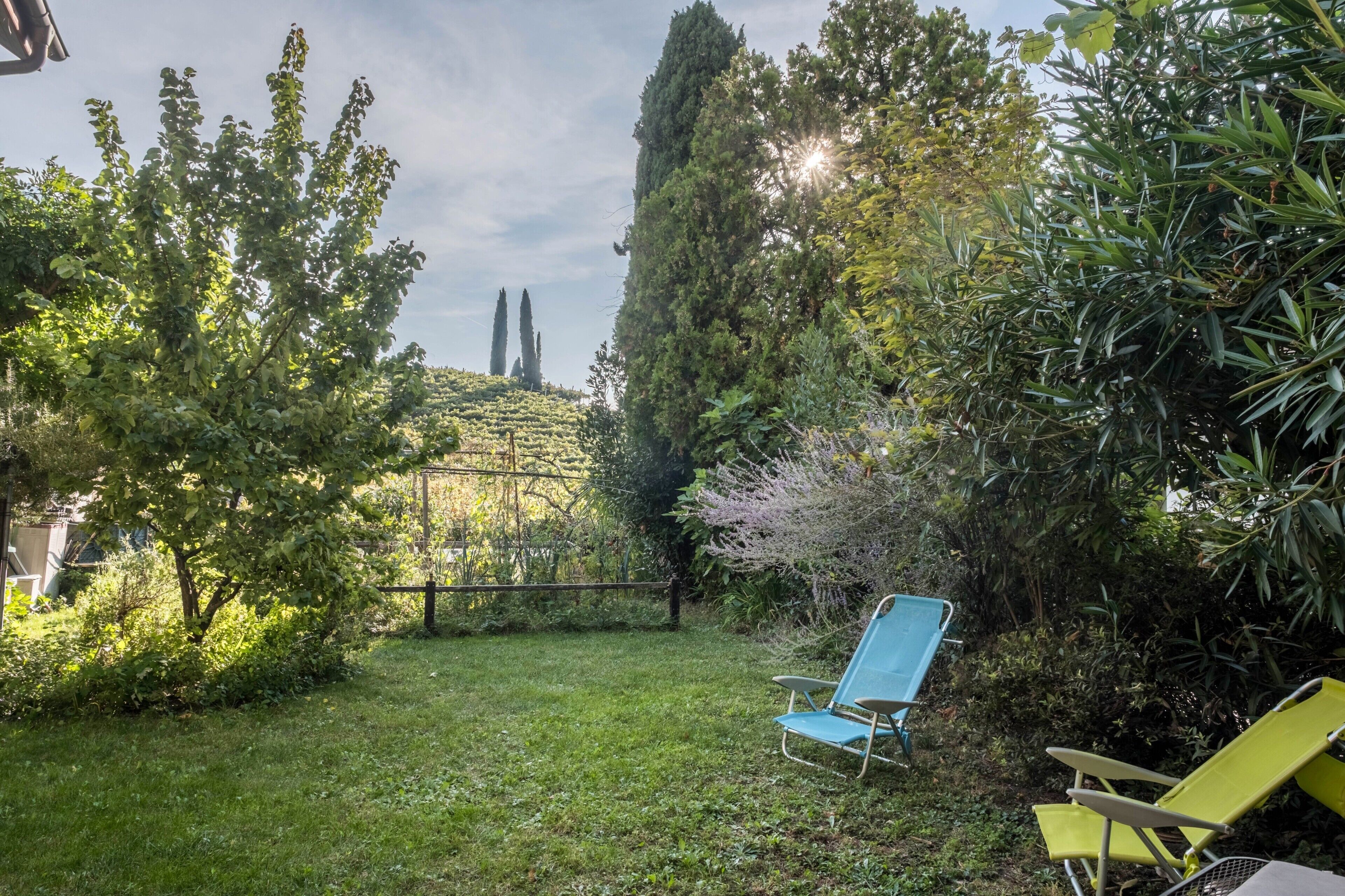 Un jardin avec une pelouse, deux chaises longues bleues et une chaise longue jaune, ainsi qu’un grand arbre.