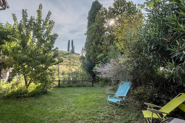 A garden with a lawn, two blue and one yellow lounge chair, and a tall tree.