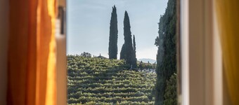 Holiday Home "Weingut Plonerhof" with Mountain View, Private Garden & Wi-Fi