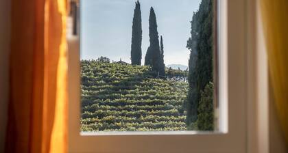 Holiday Home "Weingut Plonerhof" with Mountain View, Private Garden & Wi-Fi