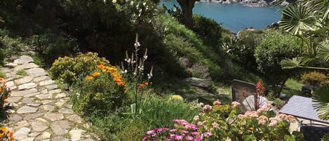 Terrain de lâhĂ©bergement