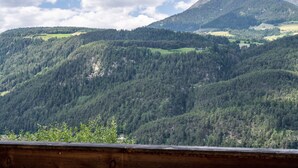 Eine gebirgige Landschaft mit dichtem Wald und einem markanten Berggipfel im Hintergrund.