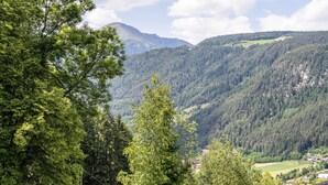 A mountainous landscape with dense forests and a small village in the valley.