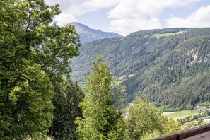 Vista desde la propiedad