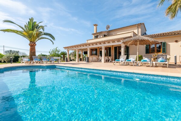 A poolside area with lounge chairs, a palm tree, and a building with a tiled roof and windows.