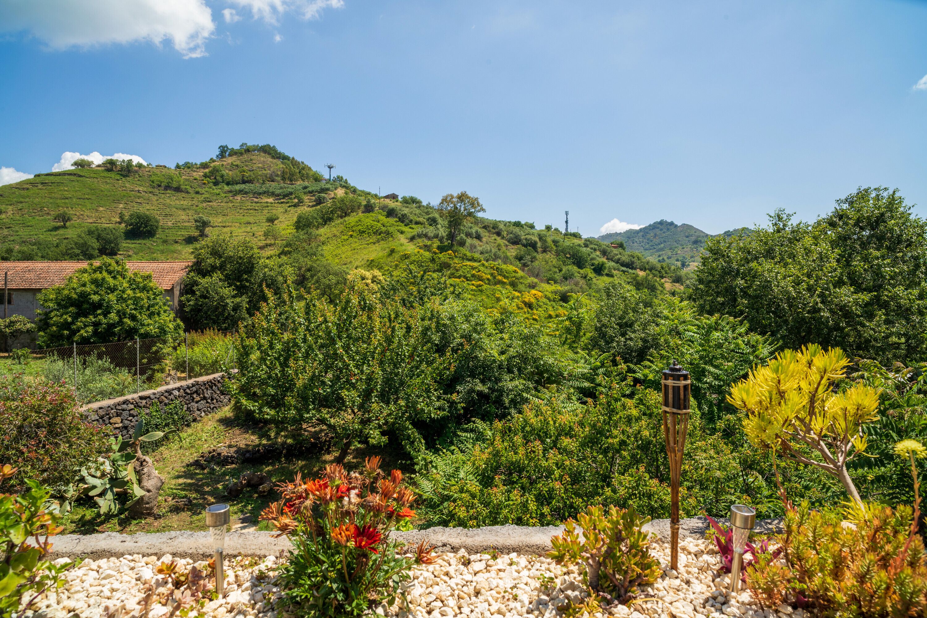 Parco della struttura