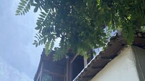 Exterior - ZEYTİNLİ KOANK  (Selçuk)