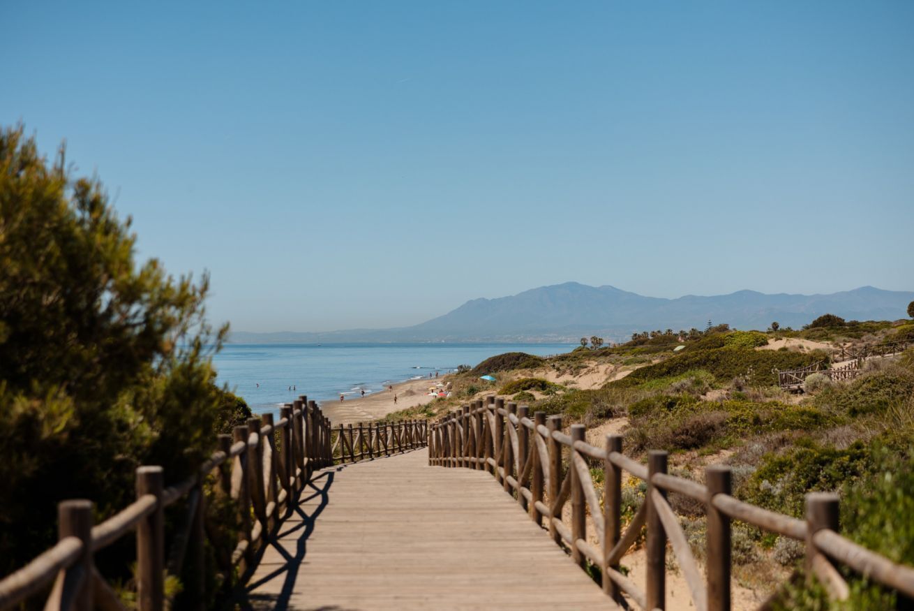 بالقرب من الشاطئ