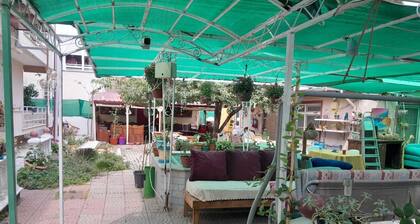 Ayışığı Pansiyon