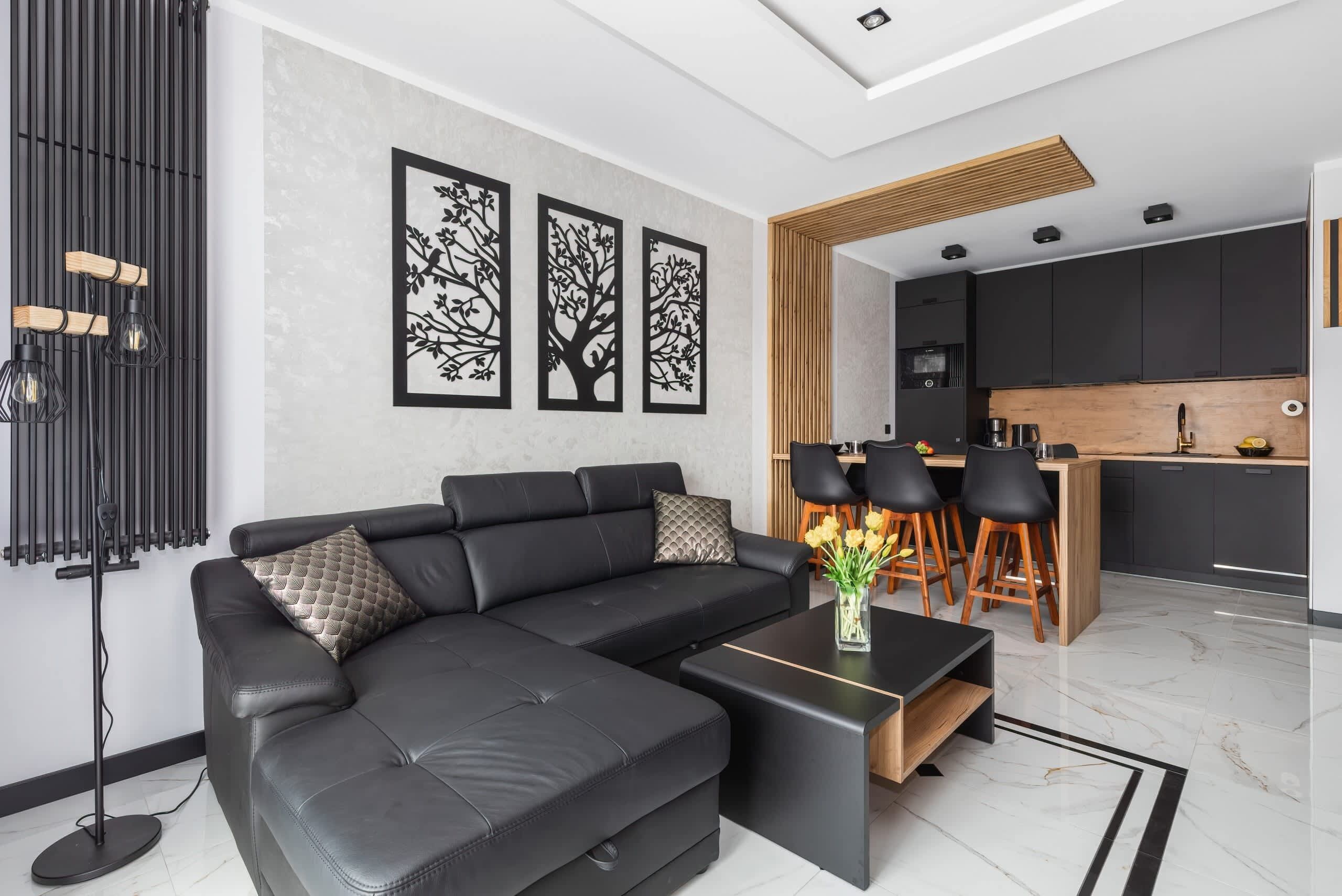 Classic living room in black and white color scheme with a sofa bed, TV and kitchenette.