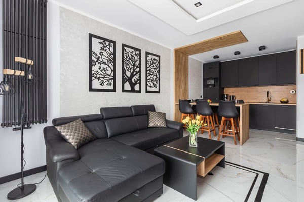 Classic living room in black and white color scheme with a sofa bed, TV and kitchenette.