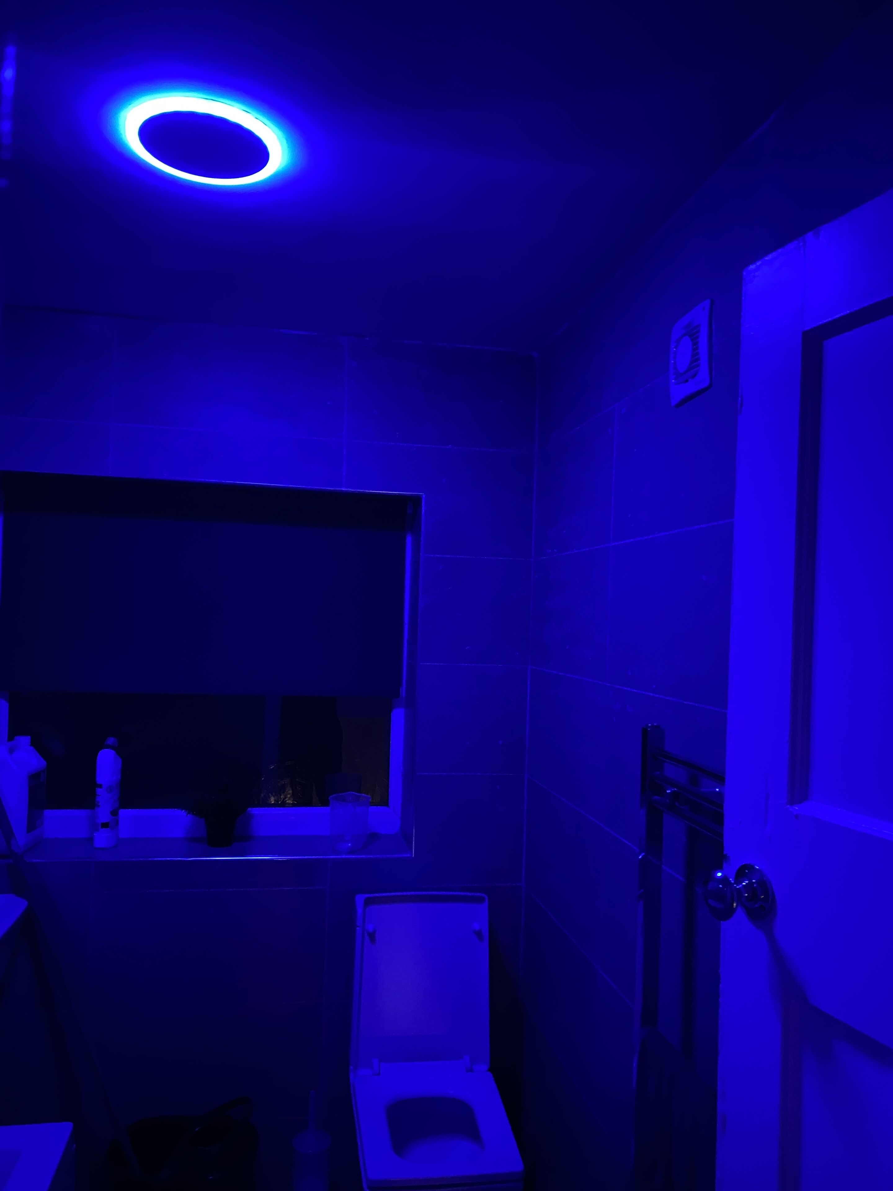A bathroom with a toilet, a sink, and a mirror.