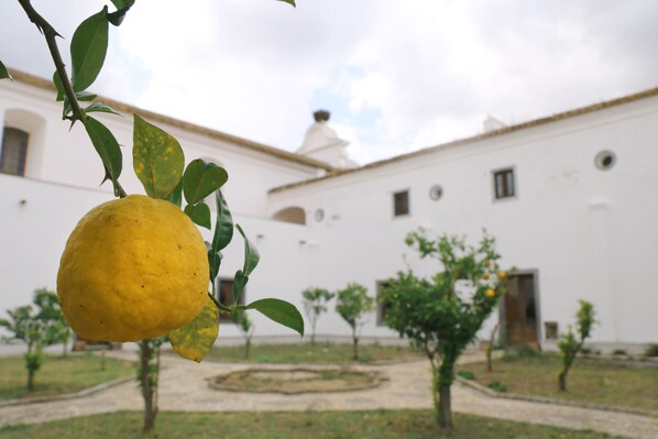 A courtyard with a lemon tree, a white building with a dome, and a circular garden. - Convento da Orada (Reguengos de Monsaraz)