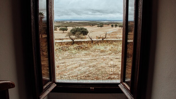Una ventana abierta con vistas a un paisaje seco y cubierto de hierba, con árboles dispersos y un cielo nublado.